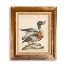 Load image into Gallery viewer, Reprotique - Ducks Framed